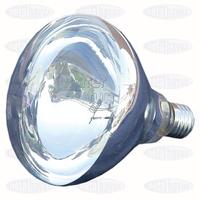HavuzAVM-AMPUL 300W/12V PASLANMAZ LAMBA İÇİN WATERFUN