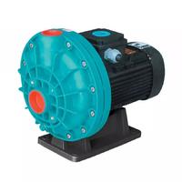 Gemaş Pumpex-Jet Havuz Pompası 0.75 hp, Monofaze