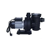 Waterfun Senkron-1 1,5 Hp 220 Volt Havuz Pompası