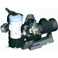 Astral Maxim Havuz Pompası 3,5 Hp