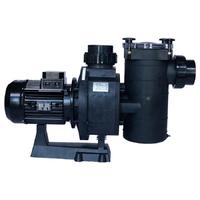 Kripsol Kan PLUS Havuz Pompası 6.5 Hp Trifaze