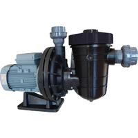 Nozbart Asit Pompası 2 Hp Monofaze