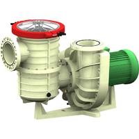 Nozbart Tsunami Serisi Havuz Pompası 30 Hp Trifaze