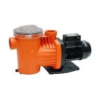 Saci Winner Serisi Havuz Pompası 1.5 Hp Monofaze