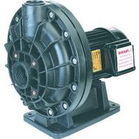 HavuzAVM-2 HP İlk Seri Trif.Pompa Ön Filtresiz